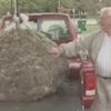 Создан самый большой шар из волос