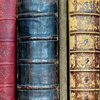 Перуанской библиотеке вернули взятые 126 лет назад книги