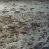 В Калифорнии снова чрезвычайное положение