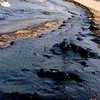 Керченский пролив: Из-за разлива мазута уже начали гибнуть птицы