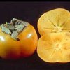 Ученые: Тайны оттаявшего фрукта