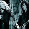 Два билета на концерт Led Zeppelin купили за 83 тысячи фунтов