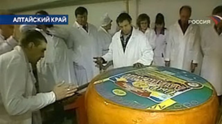 Алтайский сыр-гигант претендует на рекорд