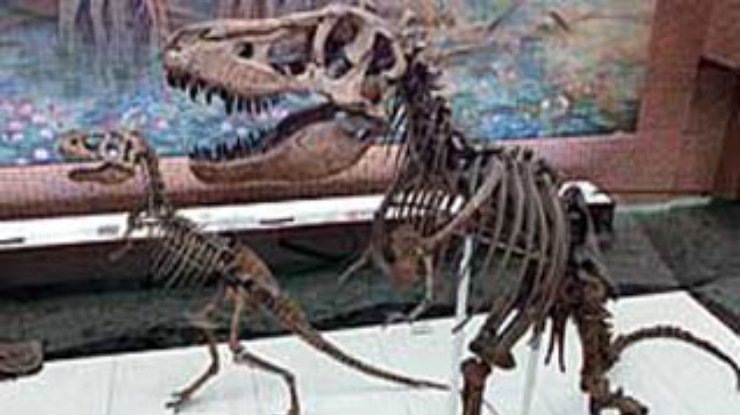 Жители китайской деревни вступили в бой с полицией из-за костей динозавра