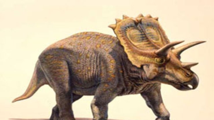 В Канаде найдены останки гигантского рогатого динозавра