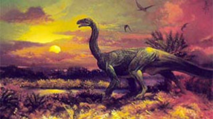 В Антарктиде найден неизвестный крупный травоядный динозавр