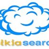"Запуск" поисковика Wikia Search ожидается в начале января 2008 года