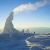 Подо льдом Антарктиды скрывается богатый природный комплекс