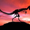 Причиной вымирания динозавров стали насекомые?
