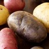 В России поставят памятник картошке
