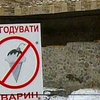Киевскими тиграми займется прокуратура