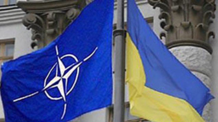 Украинцы хотят референдум по НАТО и осуждают "письмо трех"
