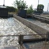 МЧС: Киев на грани техногенной катастрофы