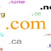 В интернете зарегистрировано 153 миллиона доменов