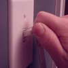Фонд Дикой Природы призывает выключить свет