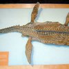 В Канаде обнаружен скелет динозавра