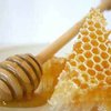 Мед может излечить от аллергии