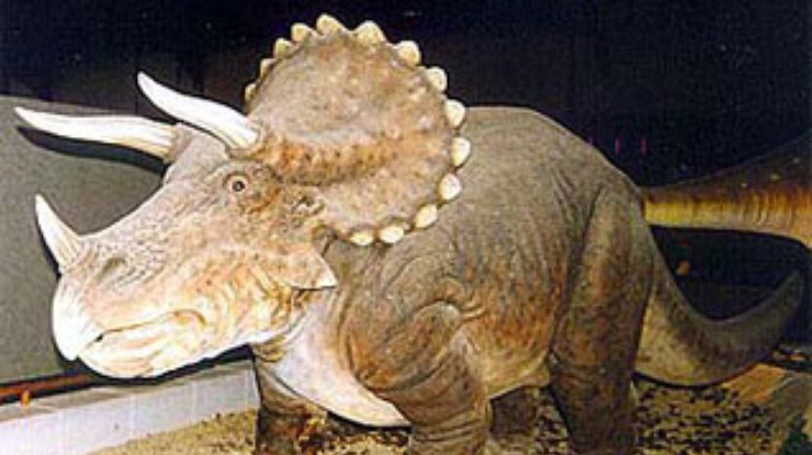 В Мексике нашли останки рогатого динозавра