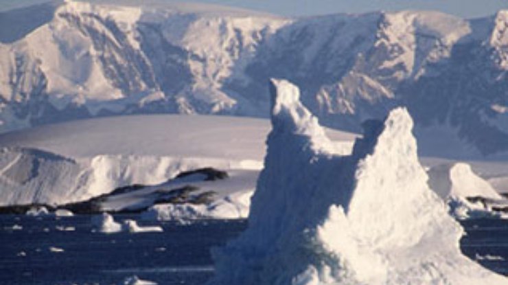От антарктического шельфа откололся ледник площадью 600 квадратных километров
