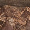 Археологи: Древние египтяне почитали ослов