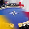 Financial Times: Тбилиси и Киев активизировали борьбу за вступление в НАТО