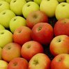 Яблоки уменьшают риск сердечно-сосудистых заболеваний