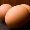 Регулярное употребление куриных яиц повышает риск преждевременной смерти