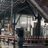 Американские пивовары будут использовать в производстве навоз