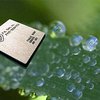 Apple займется производством процессоров