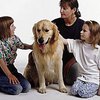 Собаки защищают детей от аллергии