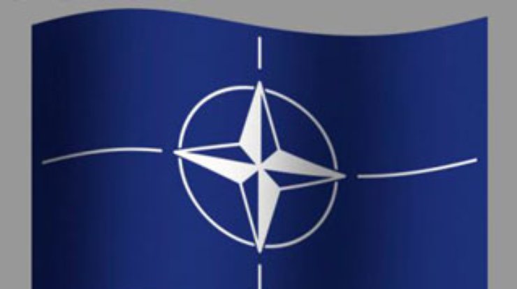 FT: Разговоры о НАТО вносят раскол в общество