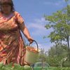 Собран первый урожай в клубничной столице Украины