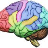 Ученые обнаружили участки мозга, отвечающие за пристрастие к наркотикам
