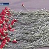 В центре Киева совершено резонансное убийство