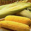 Кукуруза обеспечивает организм незаменимыми питательными веществами