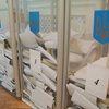 Экзит-пол: Черновецкий лидирует с перевесом в 12%