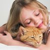 Ранний контакт детей с котами снижает риск развития аллергии