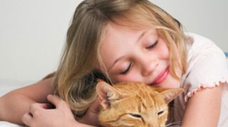Ранний контакт детей с котами снижает риск развития аллергии