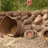 Новобогдановка-2 - под Киевом
