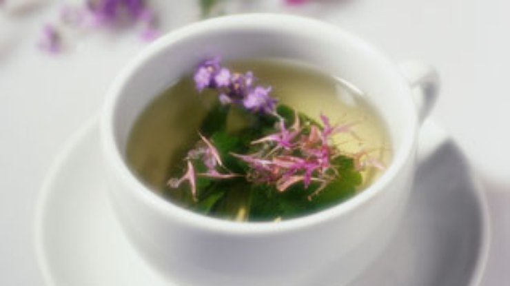 Зелёный чай предотвращает болезни Альцгеймера и Паркинсона