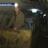 Украинские технологии для безопасной добычи угля безнадежно устарели