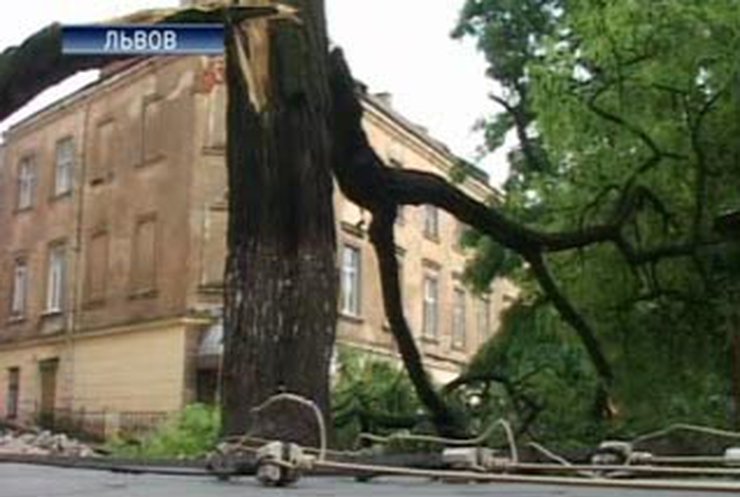 Ураган во Львовской области унес жизни 4 человек