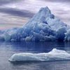 Айсберги разрушают экосистему Антарктиды