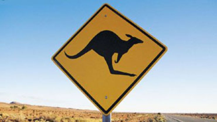 Собака спасла австралийку от "атаки" самца кенгуру