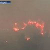 800 гектаров леса сгорели за 2 дня в Турции