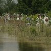 В Ивано-Франковской области похоронили первых жертв наводнения