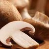 Грибы препятствуют развитию рака