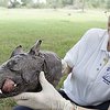 В Техасе нашли собаку-вампира