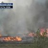 Украина страдает от лесных пожаров