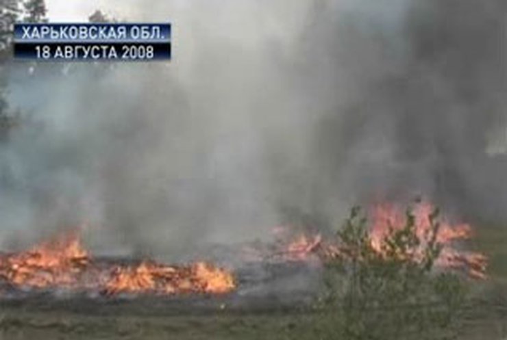 Украина страдает от лесных пожаров